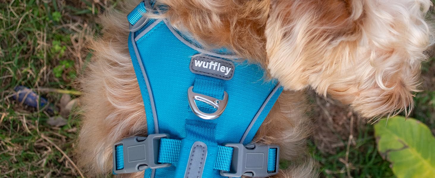 Нашийник для собак Wuffley з повідком, безпечний, анти-ривок, з ручкою та світловідбиваючими елементами, для середніх собак (Блакитний, M)