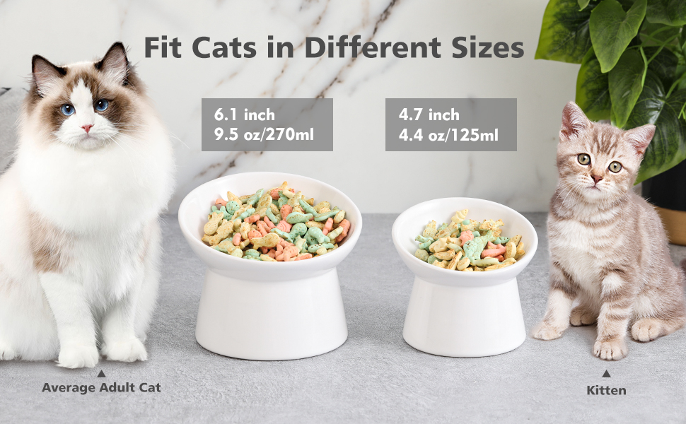 Котло propositions для котів з кераміки, піднятий годівниця, 15° нахил, 280 мл, білий, великий - для запобігання зригування