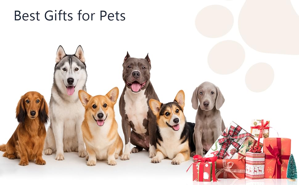 Силіконові килимки для котів та собак Bau+Grün-US (чорний+жовтий, S) - уповільнена годівля, 60 присосок