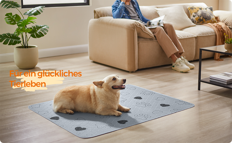 Підстилка для собак Feandrea, 2 шт. в наборі, XL (122 x 91 см), сіра, водонепроникна, супер поглинаюча, не слизька, для цуценят та собак