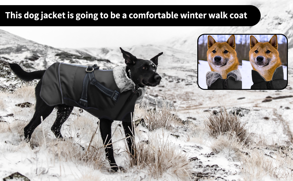 Водонепроникний теплий зимовий одяг для собак: куртка з отвором для повідка, для чихуахуа, французького бульдога, малих та середніх порід