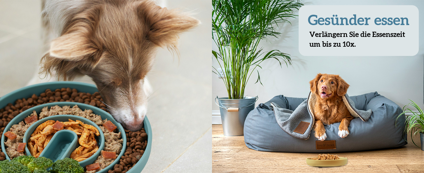 Миска OHMO Anti-Schling Napf для собак (Дерево життя), миска протиковтання для собак, котів, цуценят, здорове харчування, запобігання здуття живота, антиковзаюча, екологічне силікон, світло-зелений, L-Дерево життя