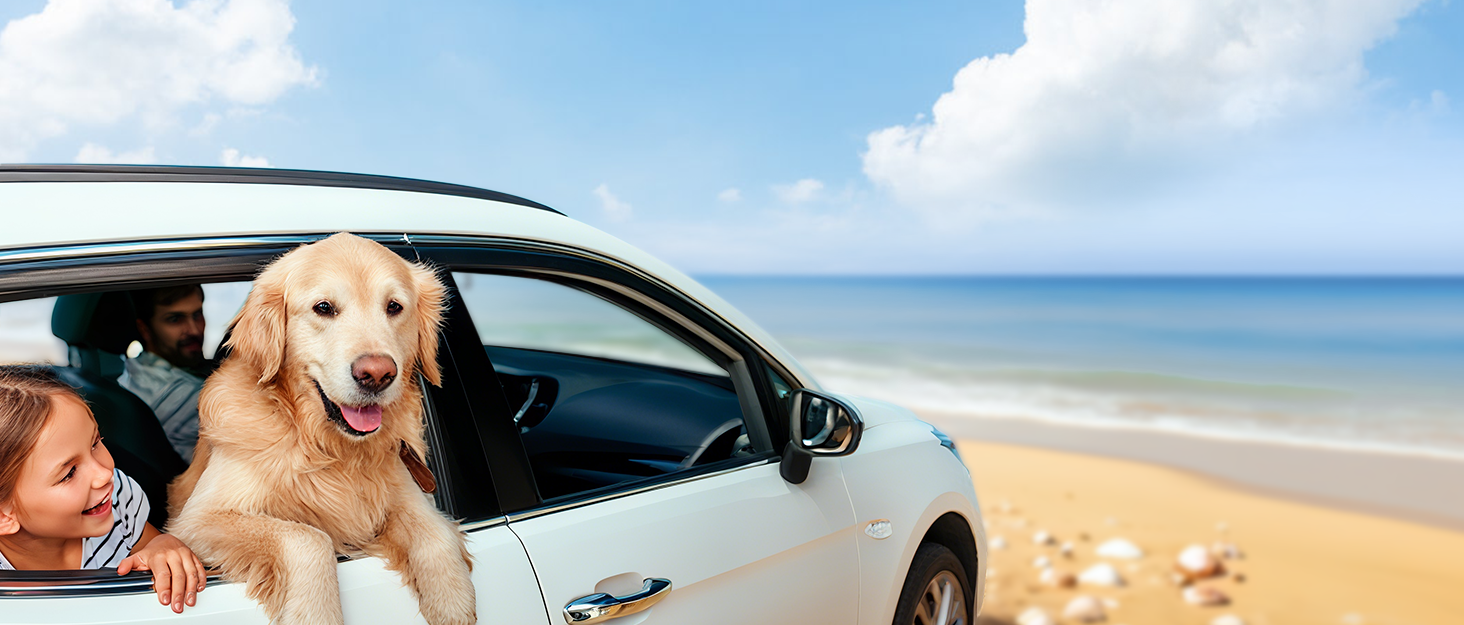 Захист для автосидіння собаки MellowMates: водонепроникний, антикіготок, з боковими захистами та оглядовим вікном. Підходить для SUV та мінівенів.