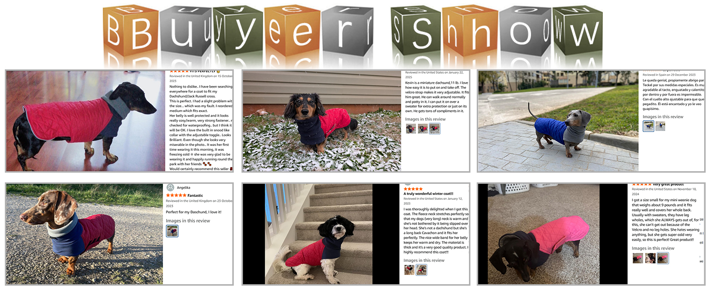 Теплий зимовий пуховик для такси для маленьких собак, зелений, S (довжина спини: 31-34 см)