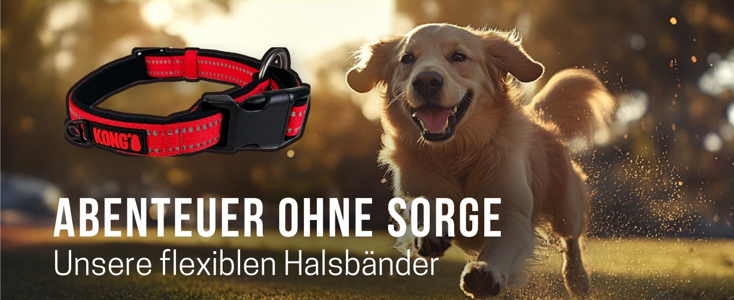 Рулетка для собак KONG Terrain, середнього розміру, фуксія