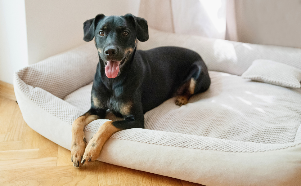 М'яке ліжко для собак Teo 120x100 см, сіре - знімний чохол, кошик для собак середніх порід