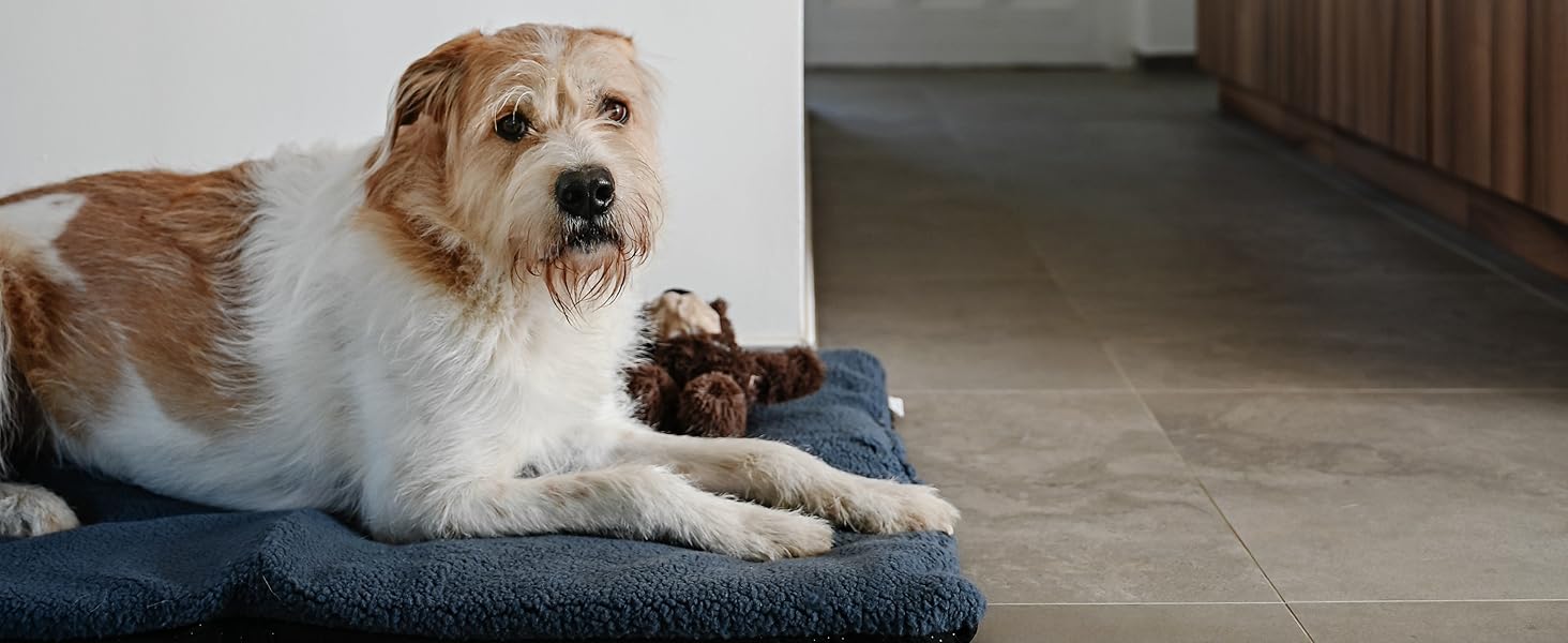 Зручне ліжко для собак та котів Zollner, сіре - 90x67x8 см, з антиковзким покриттям, можна прати до 30°C