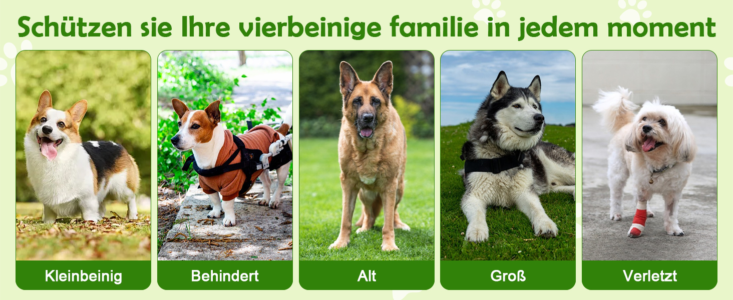Рампа для собак Hunderampe - до 110 кг, складана, з антиковзким покриттям, для авто, вантажівок та SUV, переносна для собак середніх, великих та літніх