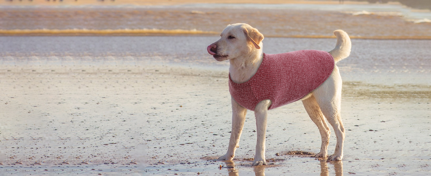 Сорочка для собак Х'юмараян, великі породи, зелена XXL: захист від сонця, еластична, для лабрадорів