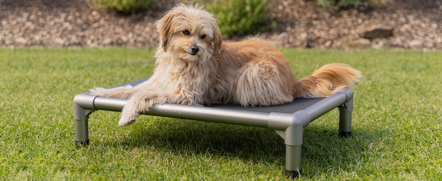TrendPet HighBed: підняне ліжко для собак з алюмінію (105x80 см), преміум-якість