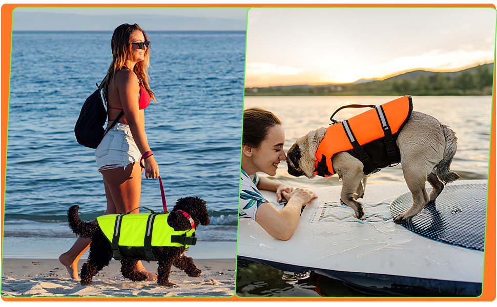 Жилет рятувальний для собак FainFun, розмір L, зелений: комфорт та безпека у воді