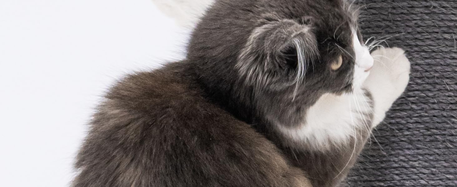 Дряпка для котів Petrebels Maine, 90 см, з міцною основою та сизалевим стовпчиком, 40 x 40 x 90 см, колір off-white