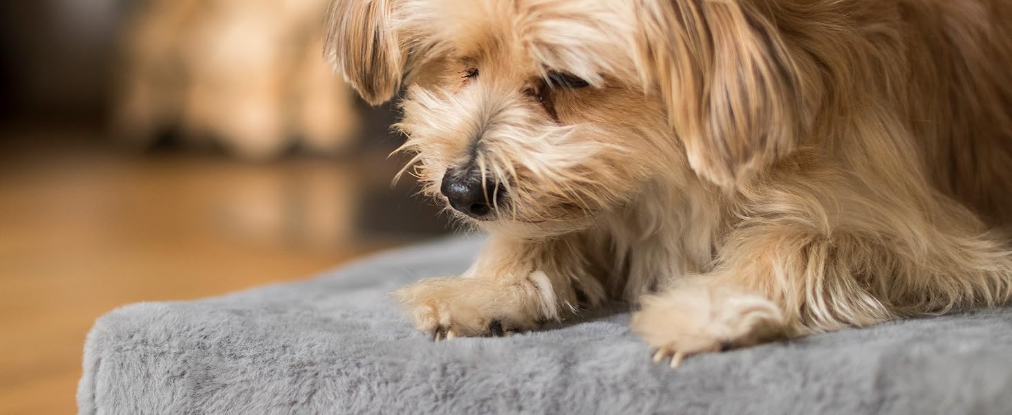 Матрац для собак TrendPet VitaMedog, віскоеластичний, сірий, 50x35 см