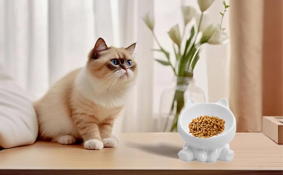 Миска для кота з кераміки, піднята, протиковзна, 15° нахил, для корму та води, підходить для котів та кошенят (біла)