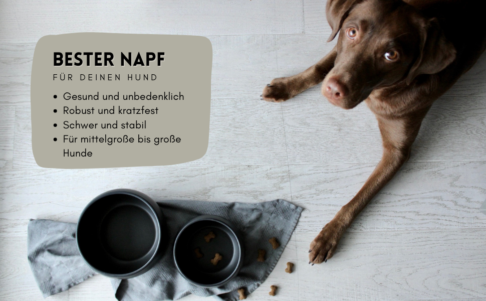 Керамічна миска для собак Hej.mo | 16 см, 0.9 л | Міцна, миється в посудомийній машині, стійка до подряпин та укусів | Для собак середніх порід (Крем)