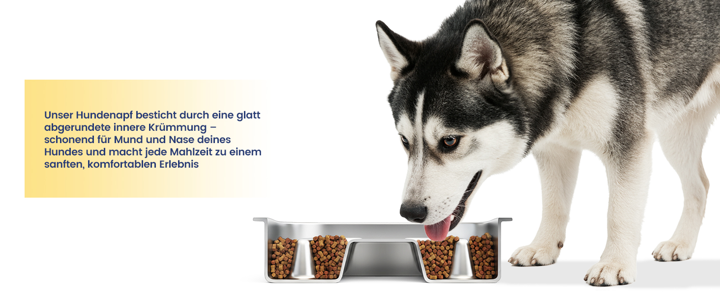 PETTOM Миска для собак протиковтання, нержавіюча сталь, Ø21 см, велика, повільне годування (23*23*4,5 см)