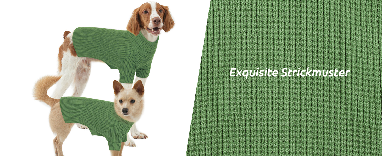 Зелений теплий зимовий пуловер для собак Konvinit, для чихуахуа, такси, бульдога, малих та середніх порід
