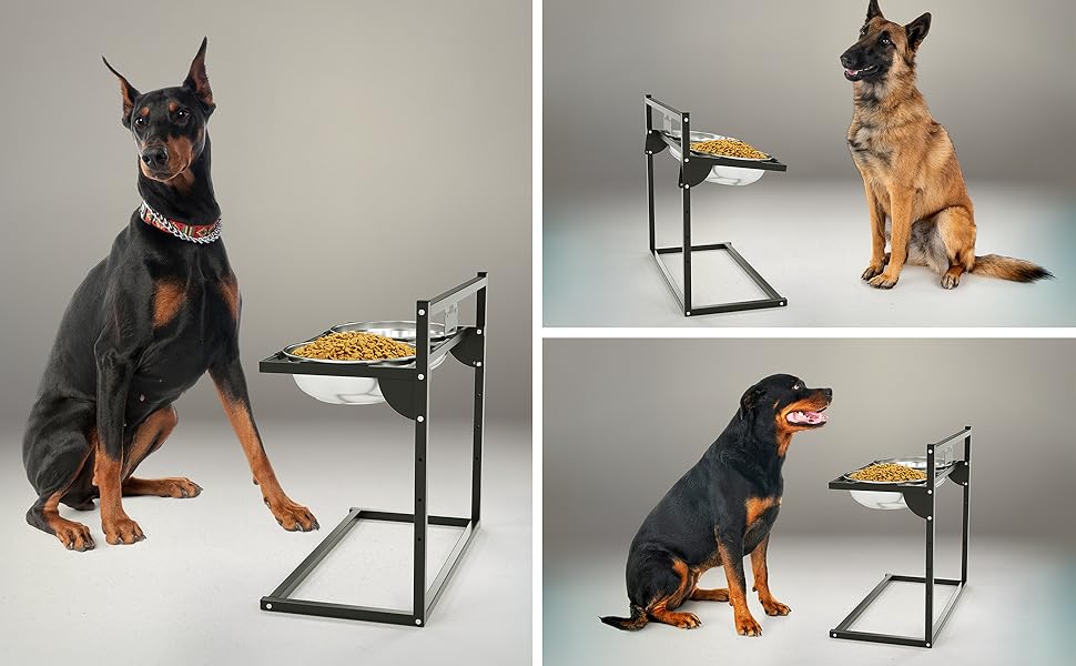 Підвищена годівниця для собак Eaninaz з регулюванням висоти, нахил 10°, 2 нержавіючі миски (1,5 x 2) та безпечна килимок, стабільний підставник для миски (XL)