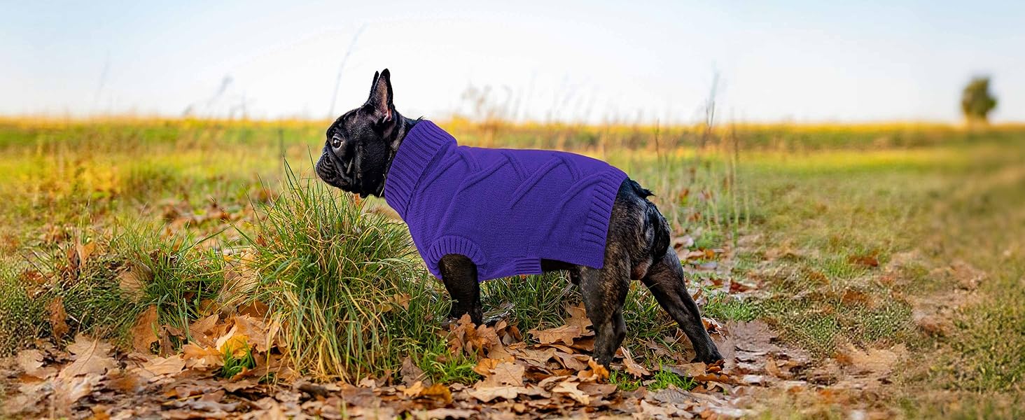 Пуловер для собак середніх порід Queenmore, м'який та теплий, фіолетовий, розмір M