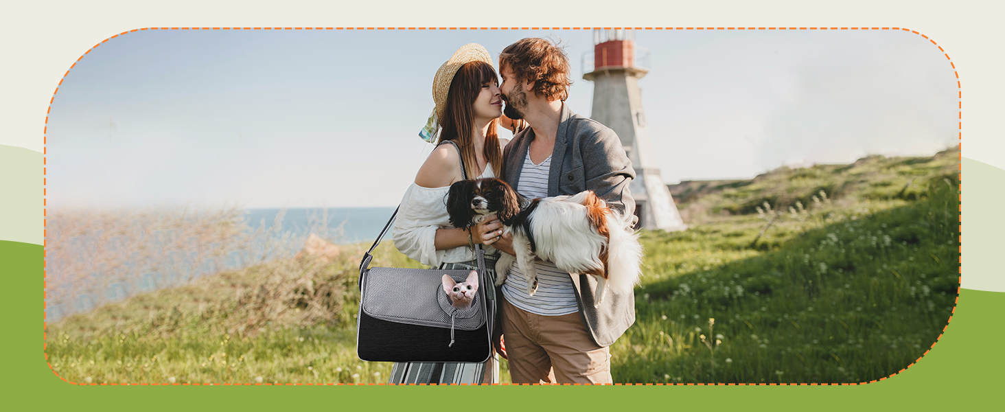 Траверс для собак ALLSOPETS: регульована переноска для маленьких собак та котів з жорстким дном та вентиляцією, сіра