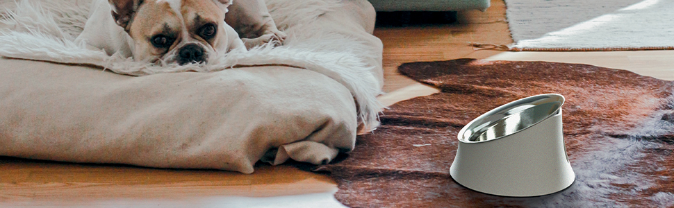 Тарілка для собак Alessi Wowl BM13/21, дизайн, 21 см, чорна, з нержавіючої сталі та термопластику