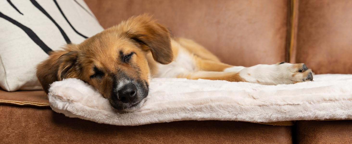 TrendPet Harmony: м'яка підстилка для собак та котів, 50x35 см, кремового кольору