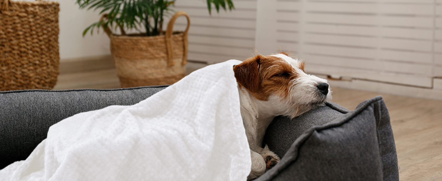 SLSON Ковдри для собак та котів, 70x100 см (сірий та білий) - м'які, двосторонні, для дому та подорожей