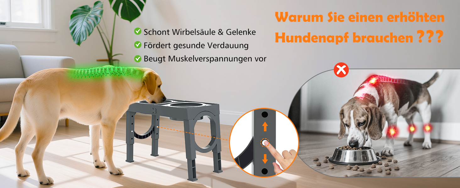 Набір мисок для собак X-BEN 3-в-1: миска для води з захистом від пролиття 1.4L, миска від захлипування 1L, годівниця з 5 рівнями регулювання висоти, для середніх та великих собак, антиковзаюча, сіра