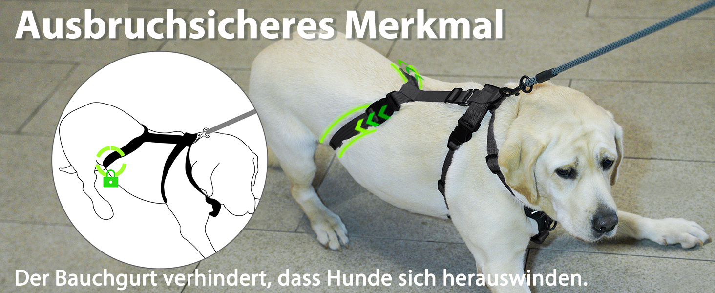 Пауерлд: Безпечна шлейка для собак, анти-тяга, паніка-шлейка, захист від втечі, регульована, дихаюча жилетка для собак (Чорний, XL) Екстра велика (упаковка з 1) Чорний