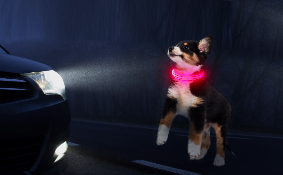 LED-нашийник для собак KOSKILL: перезарядна модель USB, водонепроникний, яскравий, регульований, для середніх та великих собак (зелений, рожевий)