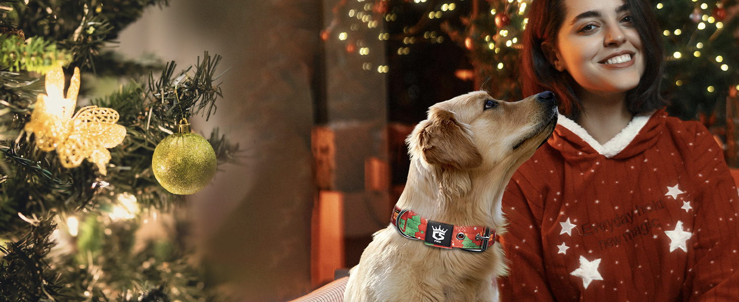 Тактичне обгортання для собак TSPRO, міцне обгортання з металевою застібкою, 3,8 см, регульоване та товсте для собак середніх та великих порід (зелене M), розмір M-H (регульоване 40-48 см), зелене