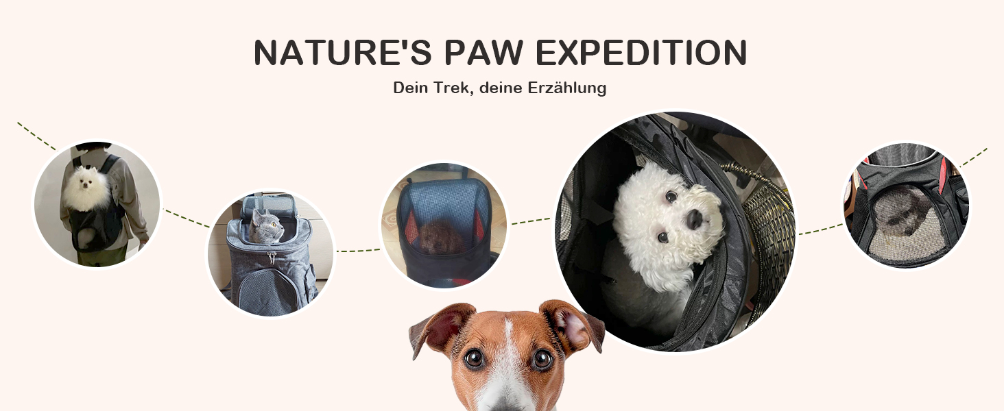 Рюкзак для котів та маленьких собак ALLSOPETS, переноска для тварин з прозорою верхньою частиною, складний, для подорожей (Світло-блакитний, S)