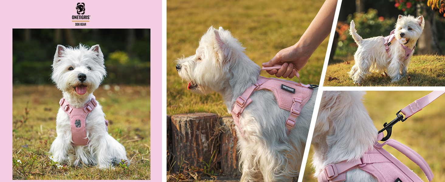 Шлейка для собак OneTigris MINI Trooper, рожева, XS, з повідком 150 см, з ручкою для контролю та 2 позиціями для буксирування