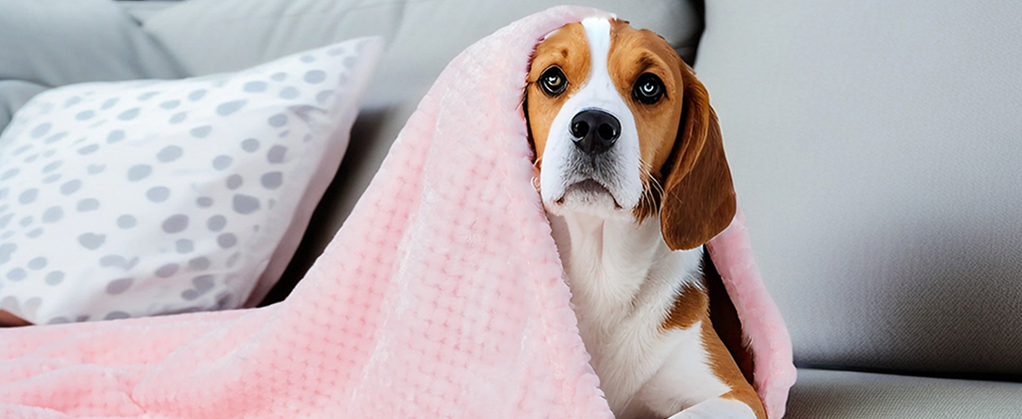 Двошарові ковдри для собак та котів SLSON, 70x100 см (блакитний та рожевий)