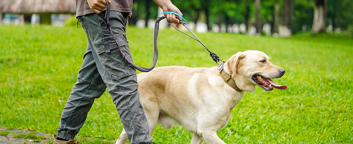 Тактична повід для собак Joytale, еластичний (bungee) повід з двома м'якими ручками, автофіксатор, повід без ривка для собак середніх, великих та екстра-великих порід (1.2м-1.8м, сірий)