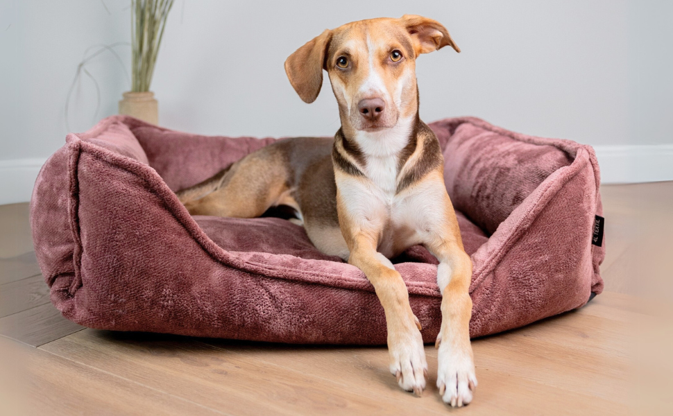 Ортопедичне ліжко для собак 4L Textil IRIS Premium-LINE, рожеве (80x60 см)