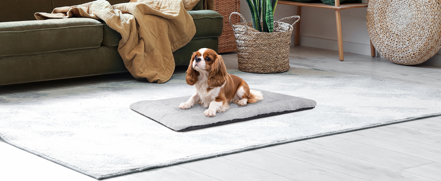 Крісло-лежанка для собак середніх порід, 90x60 см, сіре, з антиковзною основою