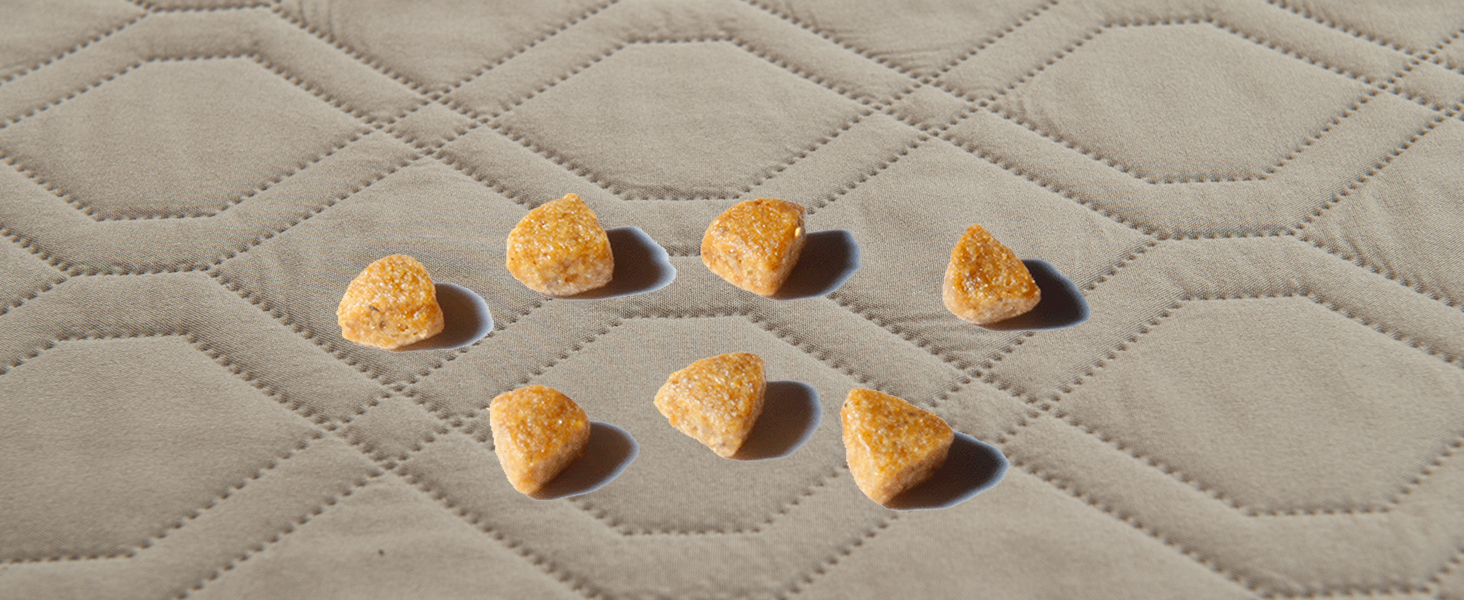 Водонепроникний килимок для собак GYURO - двосторонній, м'який, 97 x 190 см (Хакі) - для великих і маленьких собак, захист дивану, ліжка, авто, придатний для прання