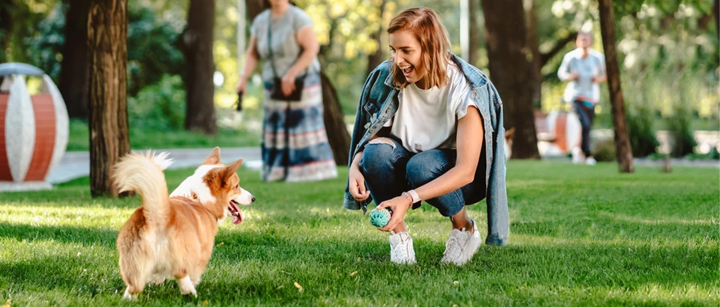 Висувна поводок для собак Taglory, 5м, рожевий, для середніх та великих собак до 45 кг, з надійним гальмом та антиковзним руків'ям