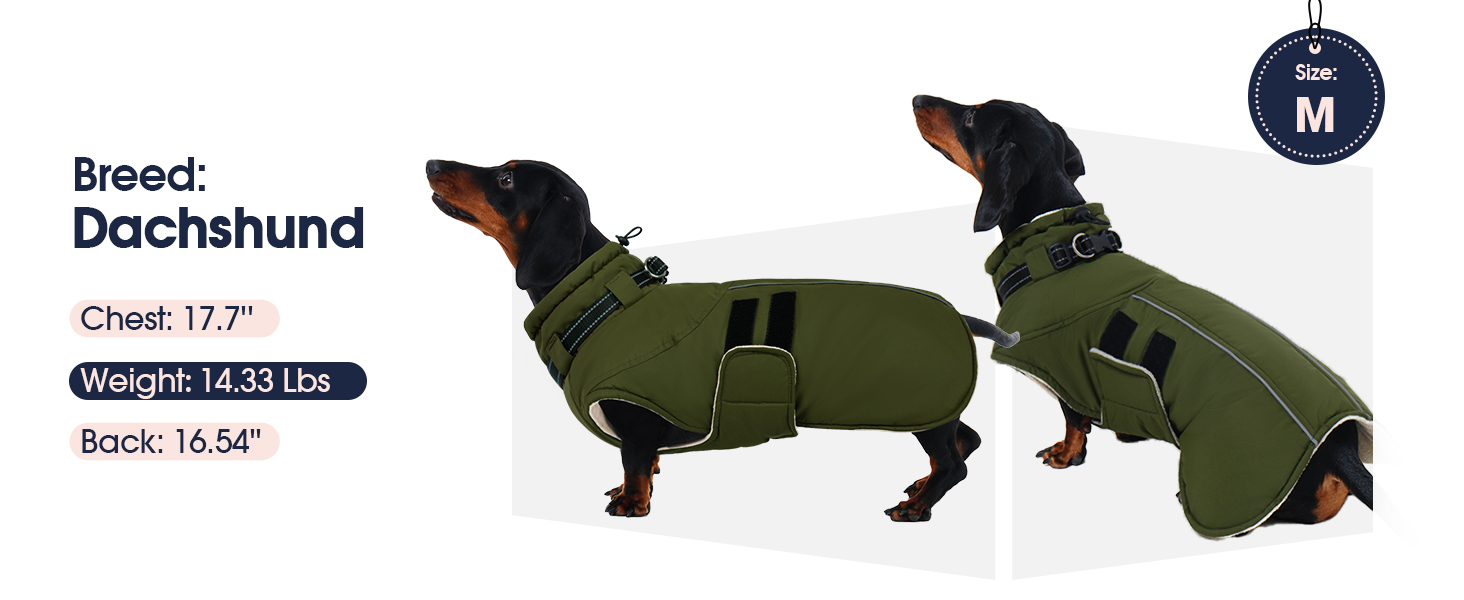 Зимова куртка для собак IECOii, тепла, водонепроникна, регульована, з відбиваючими елементами, фіолетова, XL