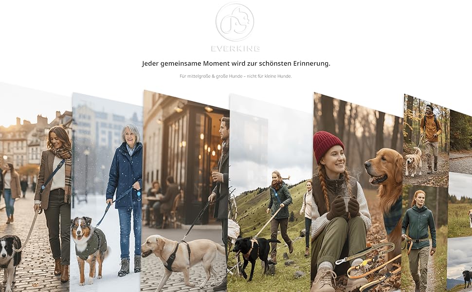 EVERKING 6-в-1 повідок для собак з живітним ременем – повідь для бігу та прогулянок, з двома ручками, антишокова пружина, кріплення для авто, альтернатива шлейці (Блакитний, Сірий, Блакитний, Хакі)