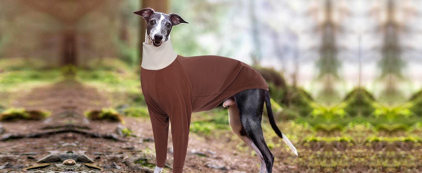 Пуловер для Віндхундів IECOii: теплий, з високим коміром, з флісу, чорний, XS