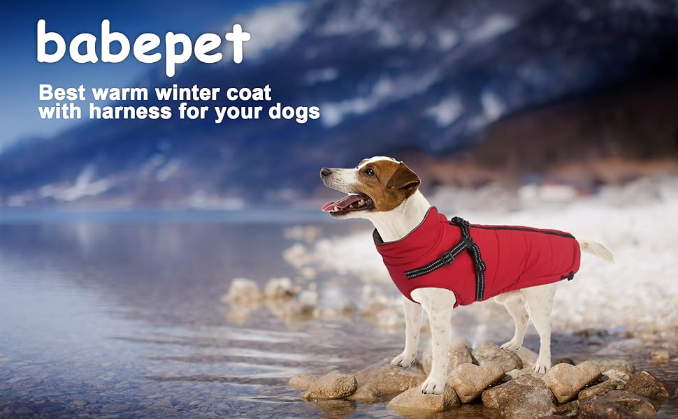 Водонепроникний теплий зимовий одяг для собак, розмір M (довжина спини 34 см), колір зелений. Підходить для маленьких собак, цуценят, для прогулянок на вулиці. З коміром та блискавкою.