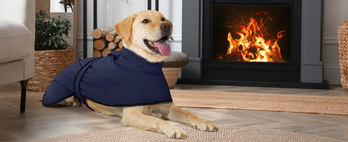 Водонепроникний зимовий одяг для собак Dotoner, теплий, з підкладкою з флісу, для великих собак XL, морський колір