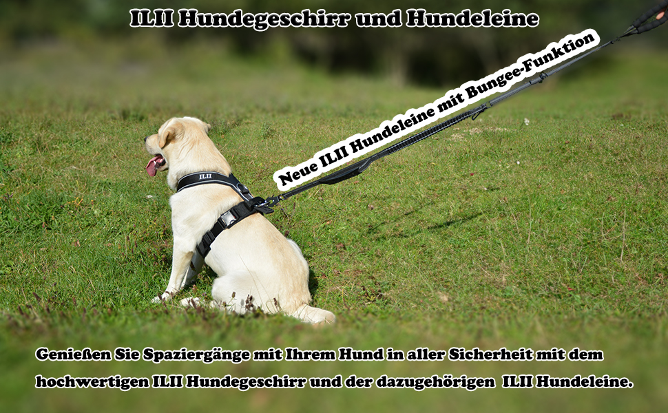 Нашийник для собак ILII - міцний, елегантний та комфортний. Унікальний дизайн для середніх та великих собак. Чорний, мінімальне покриття.