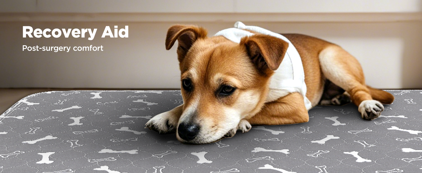 Підкладки для тварин Baodan, 2 шт. 90x60 см, водонепроникні, багаторазові, для собак, котів, кроликів