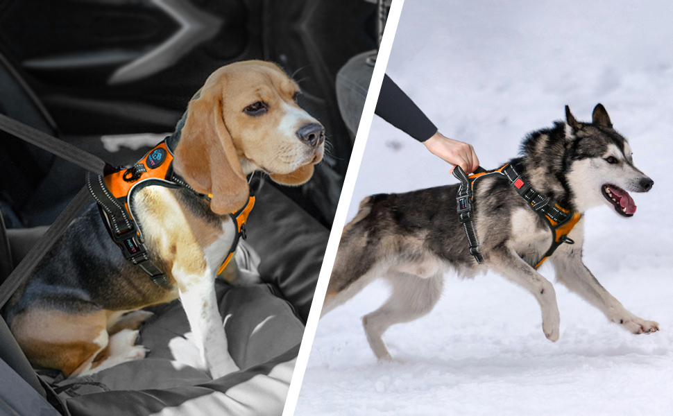 Шлейка для собак PHOEPET з регулюванням, для прогулянок, з карабіном, світловідбиваючими смугами та ручкою для контролю (XL, помаранчевий)