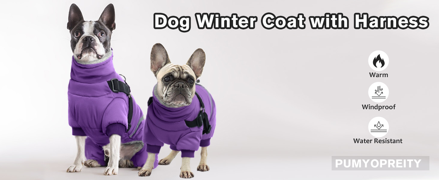 Водонепроникний теплий зимовий одяг для собак середніх порід, комбінезон з отвором для шлейки, тепла жилетка, светр для собак з кільцями D (M, фіолетовий)