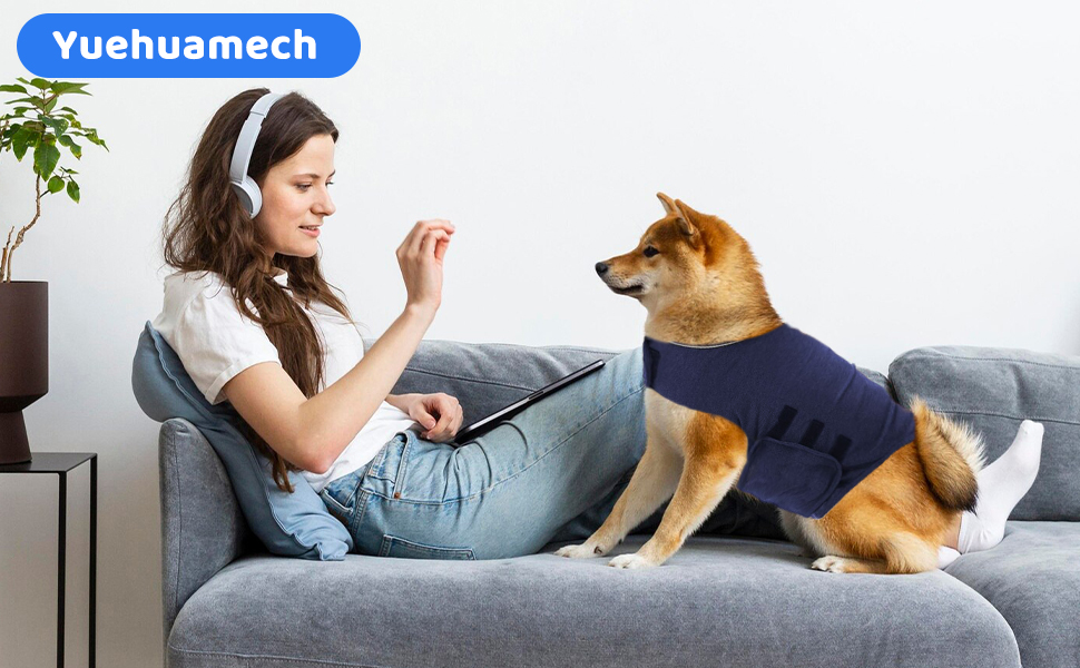 Заспокійлива жилетка для собак Anti-Angst від стресу, XL, темно-сірий