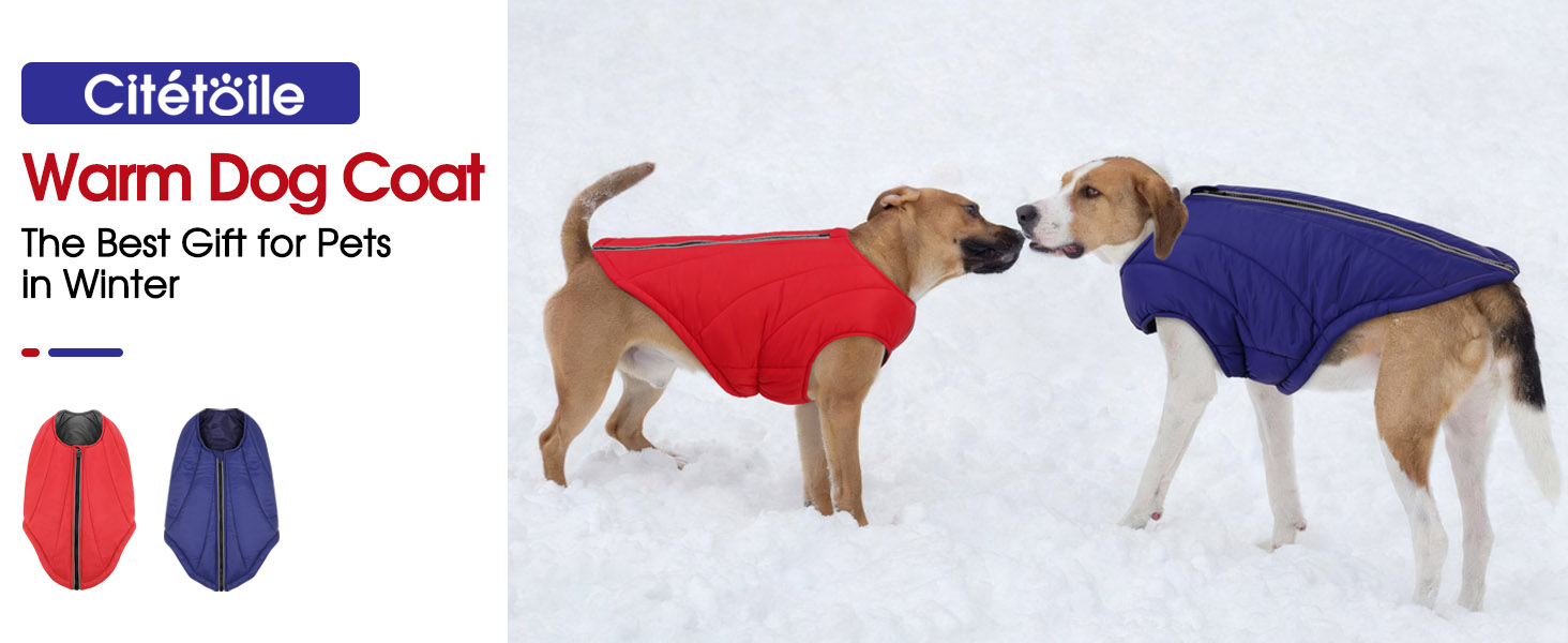 Водонепроникна куртка для собак - тепла зимова модель з блискавкою для малих, середніх та великих собак. Синій колір, розмір S.